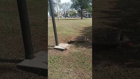 Olha a coruja
