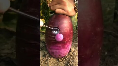 ASMR Scooping