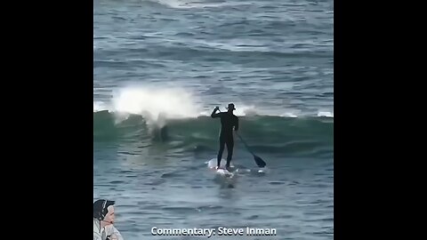 He Did That On Porpoise