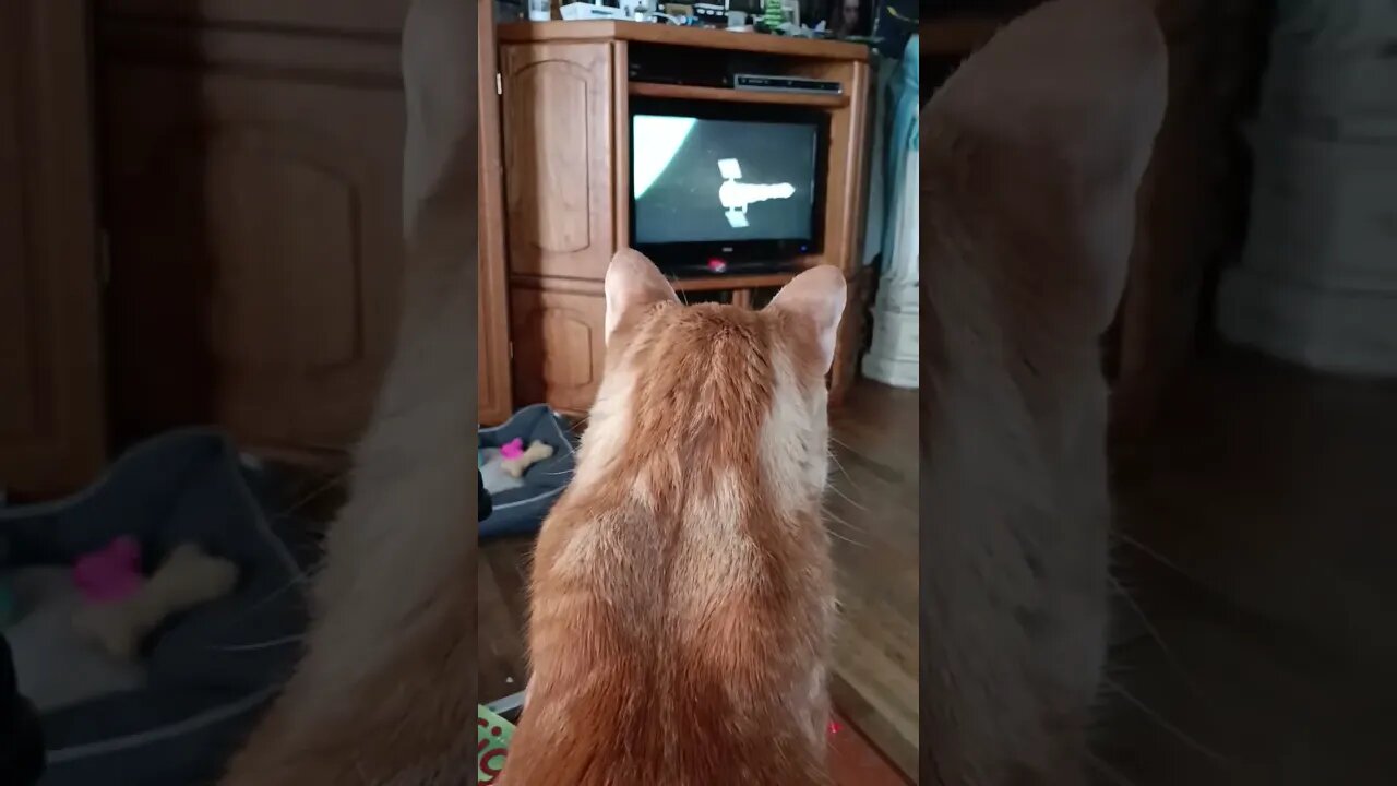George watching Ice Station Zebra
