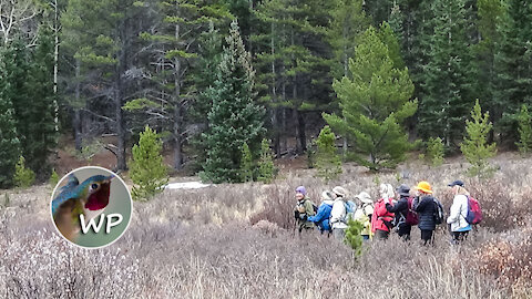 Wigwam | Fall | Lost Creek Wilderness | Colorado Trails