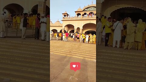 goga jahar peer ji 🙏🙏🙏🙏