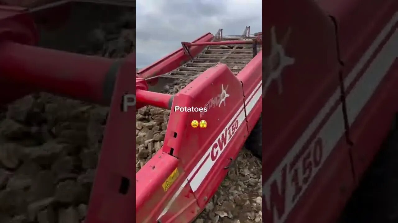 Potatoes Farm Tiktok gripspeed