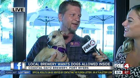 New Florida rule could ban dogs from breweries