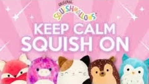 my collection of squishmallows