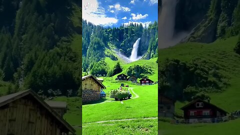 Amazing videos . #shorts #ytshorts #viral 🐆🐕‍🦺🐅