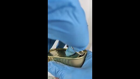 sardines on a microscope