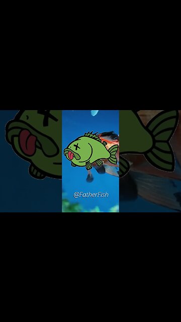 3 Ways Fish Food Kills Your Fish