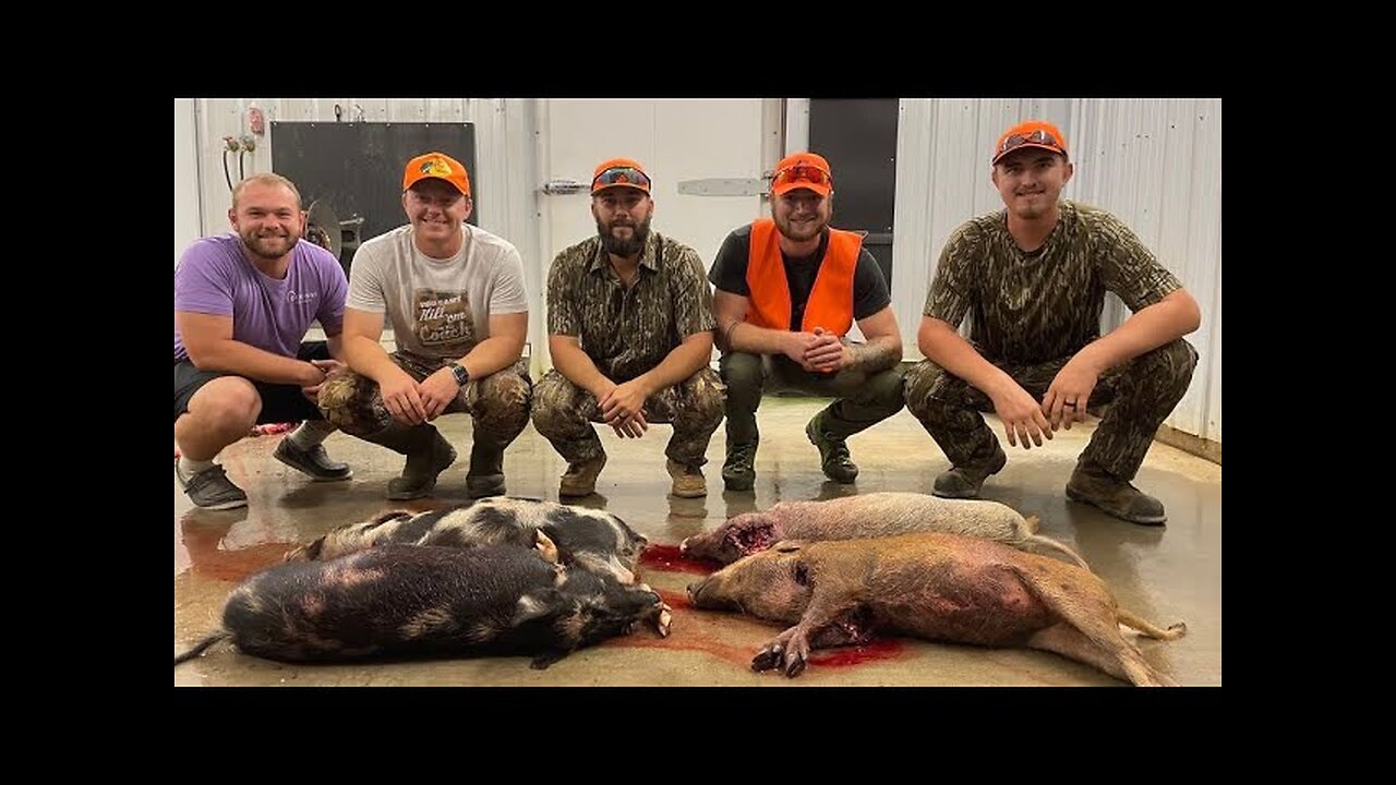 Oklahoma Hog Hunt 2023