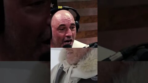 Joe Rogan On Polar Bears TRYING TO EAT BBC REPORTER