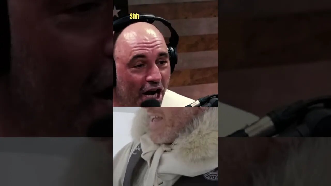Joe Rogan On Polar Bears TRYING TO EAT BBC REPORTER