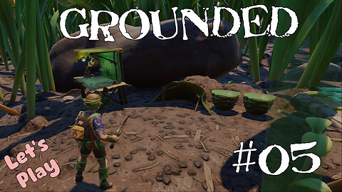 Let's Play | Grounded | #05