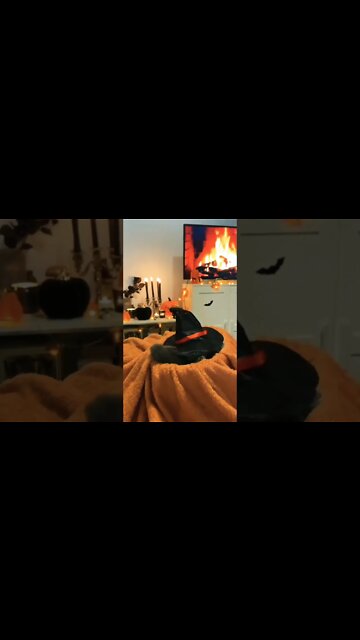 Halloween cuteness.. 🎃 #shorts