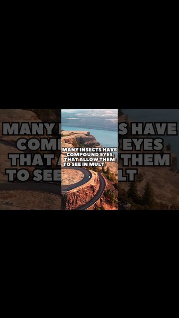 Incredible Random Facts That Will Expand Your Mind! [2023] #shorts #facts #viralshorts #fyp #life