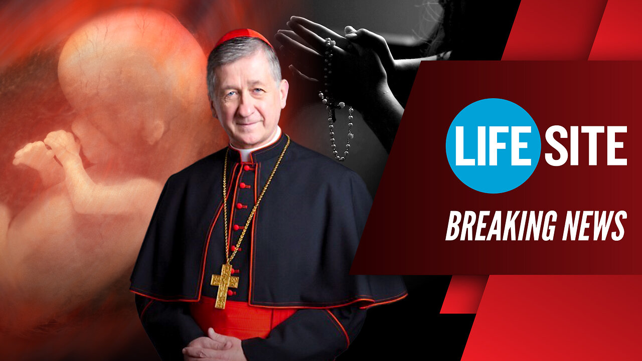 BREAKING | Cardinal Cupich Causes SCANDAL Speaking at Abortion-Crazed DNC