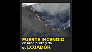 Cientos de hectáreas afectadas por incendio forestal en Cuenca, Ecuador