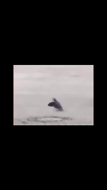 Validmir Putin gets respect from everyone.