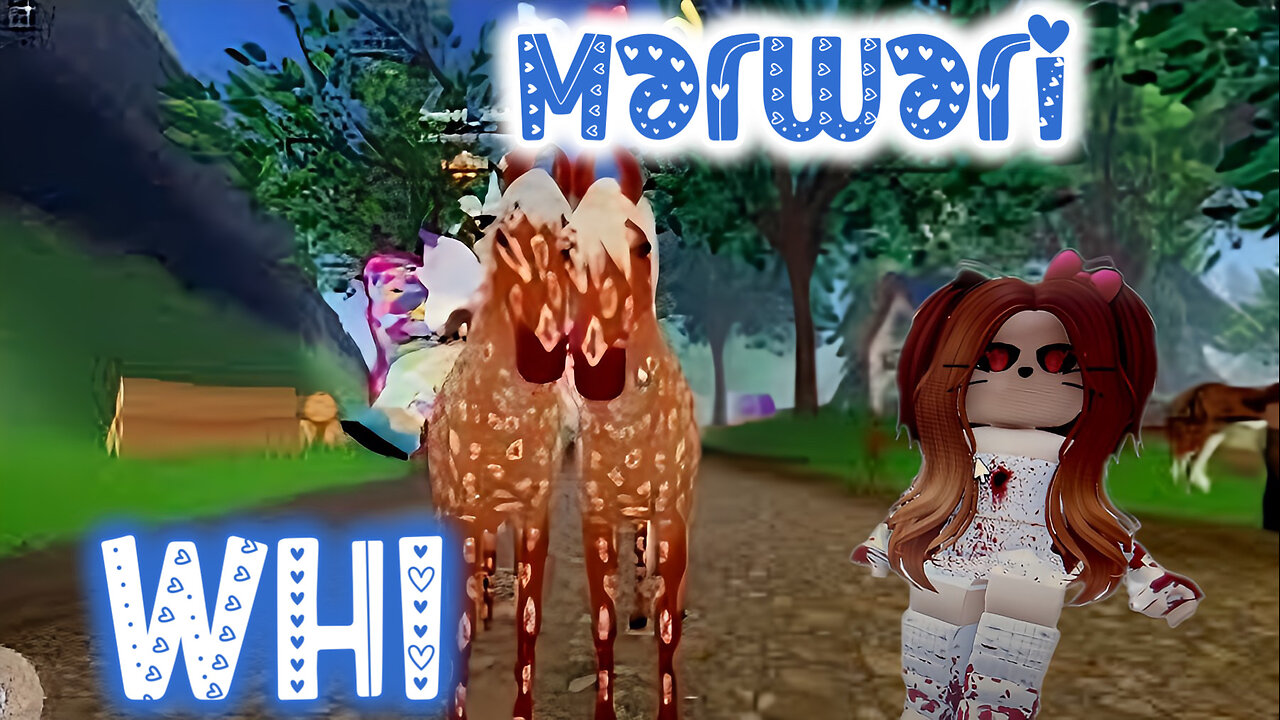 WHI Marwari Horses Are Here!! Wild Horse Islands New Horse Breed