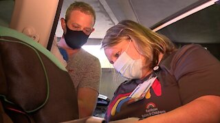 Scammers selling counterfeit car seats to families online