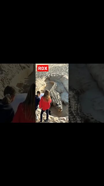 Tell is This Original ?