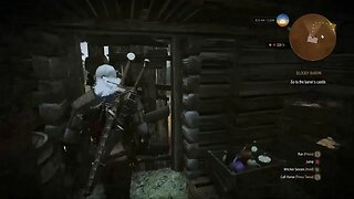 The Witcher 3 Wild Hunt