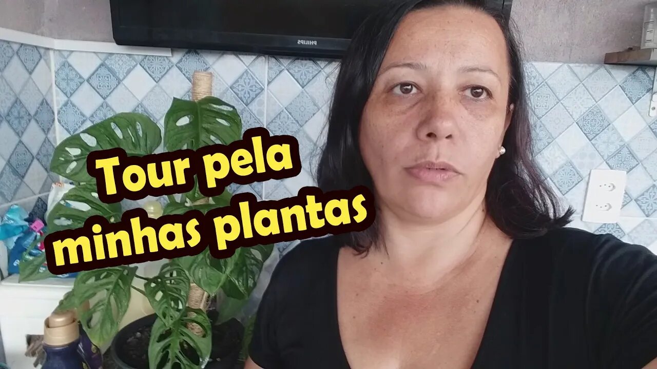 Tour pela minhas plantas-Família Flima