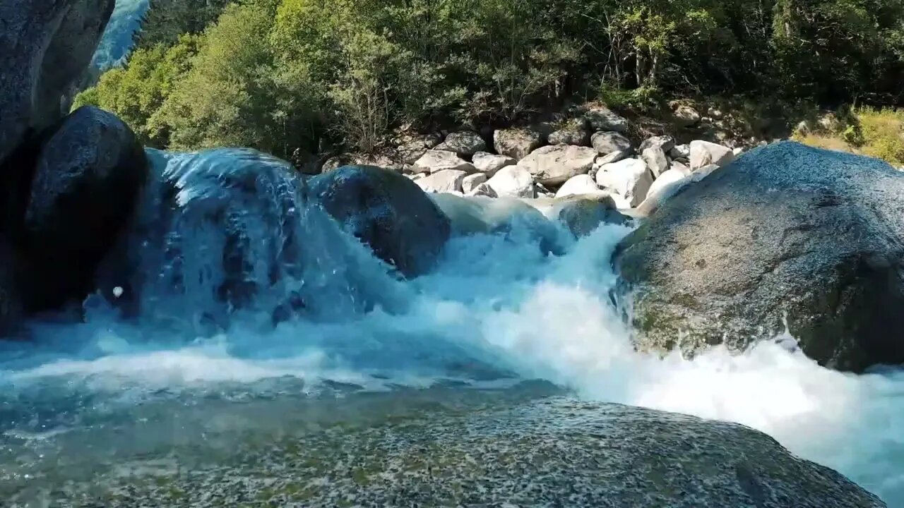 Nature's Symphony: Relaxing Water Flow in Forest Rocks