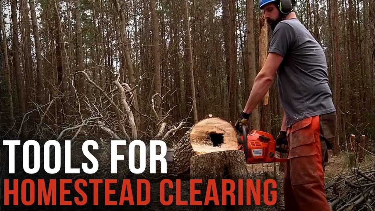 Tools for Homestead Clearing | Forest to Farm