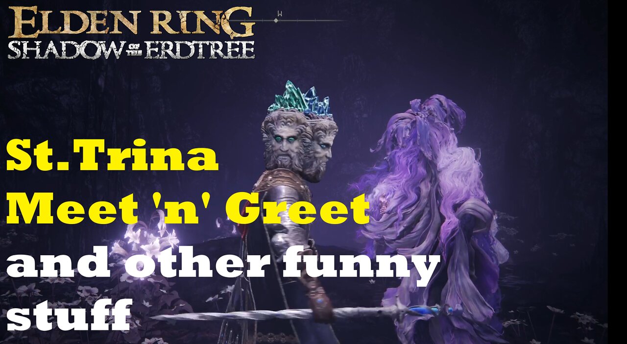 St.Trina meet 'n' Greet and other funny stuff from the stream | Elden Ring Shadow of the Erdtree