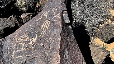 Ancient Petroglyphs in New Mexico