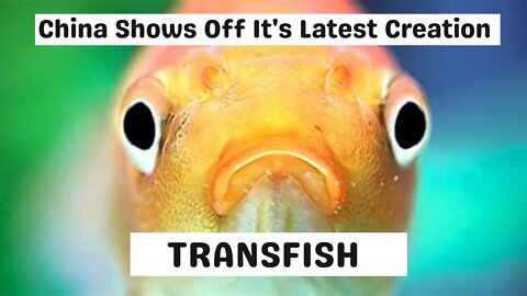Going Deep - It Was Only a Matter of Time Before China Created Transfish