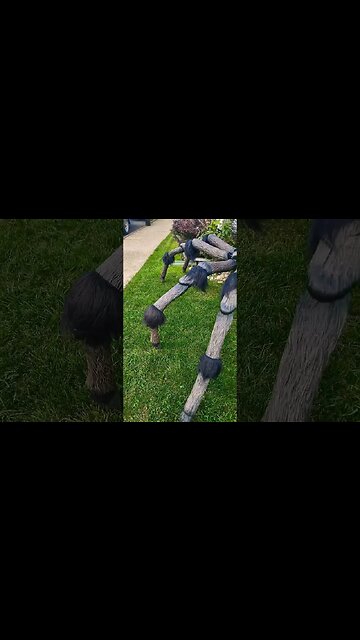 If you saw this walking around.. First thoughts. #shorts #new