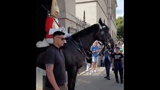 Off the Reins #horseguardsparade