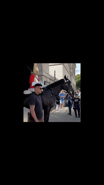 Off the Reins #horseguardsparade