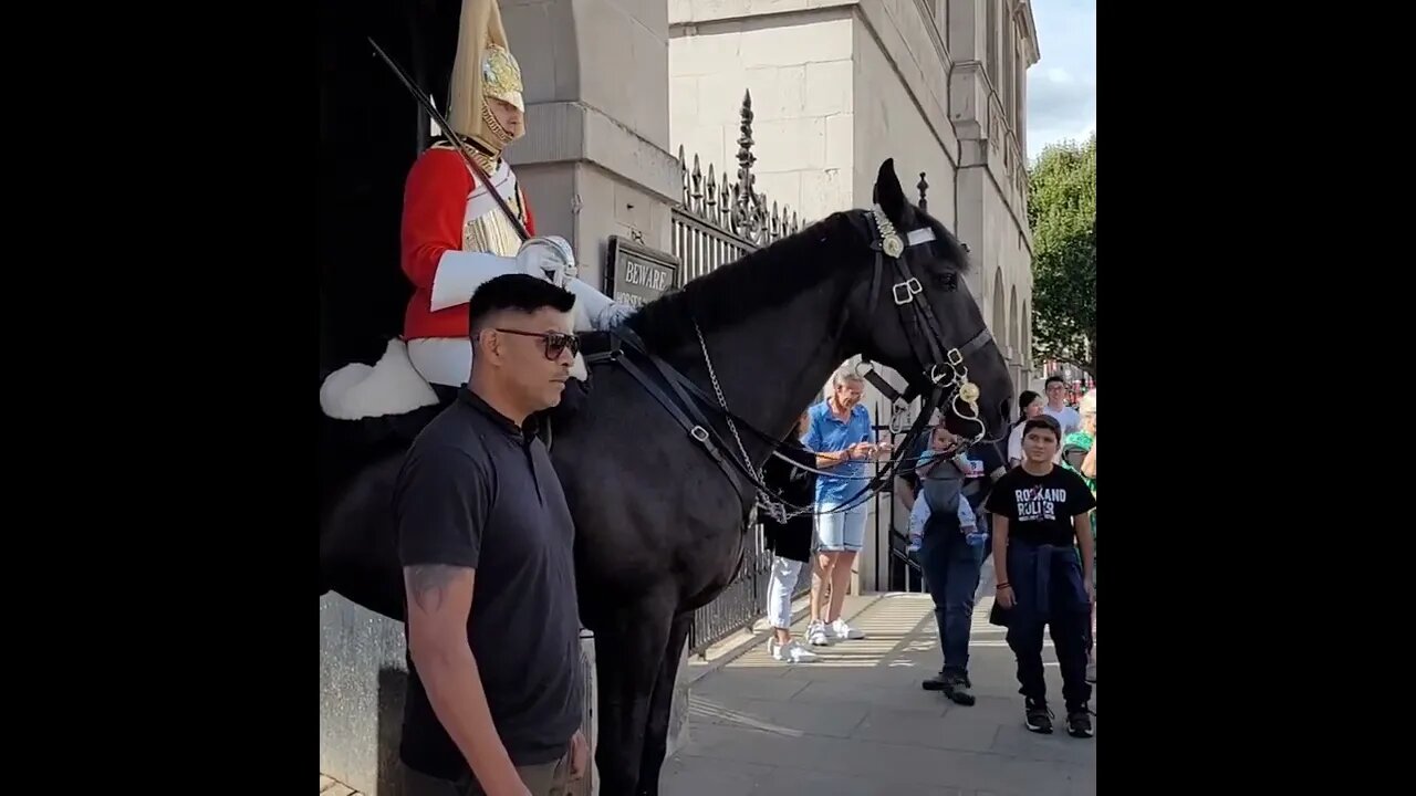 Off the Reins #horseguardsparade