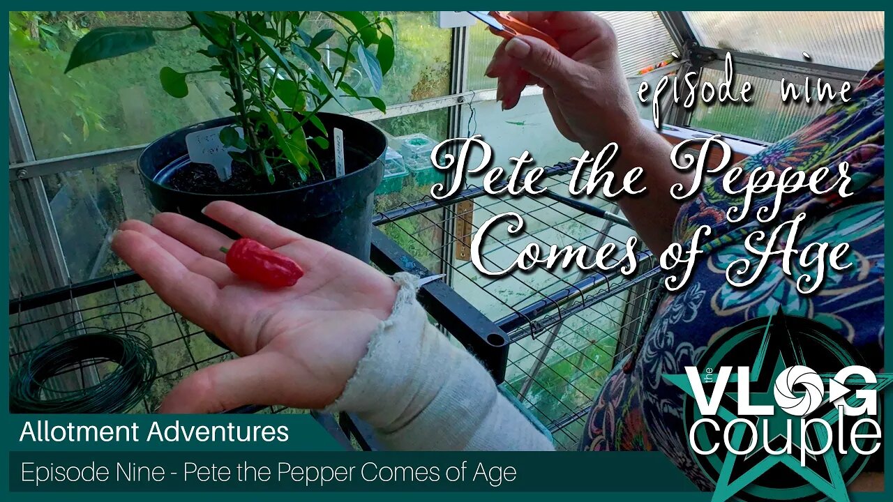 Allotment Adventures Episode 9 - Pete the Pepper Comes of Age