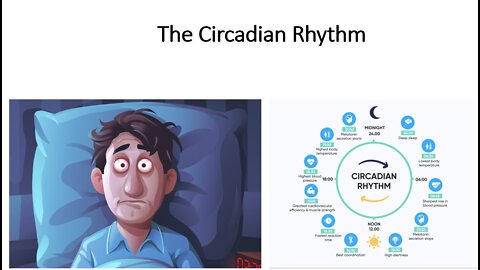 Circadian Rhythm - Sleep, Disease & Biological Age