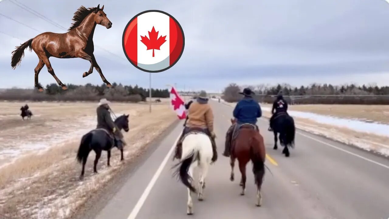 Protesters Arriving In Ottawa On Horseback!
