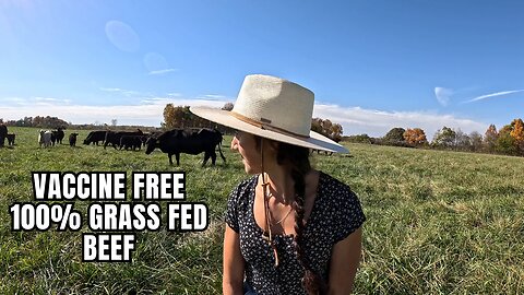 Needle Free 100% Grass-Fed Beef