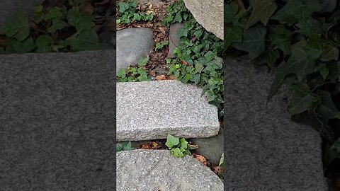 충남 당진 아미미술관 - 다듬이돌과 맷돌을 활용한 조형물