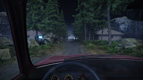 Night forest