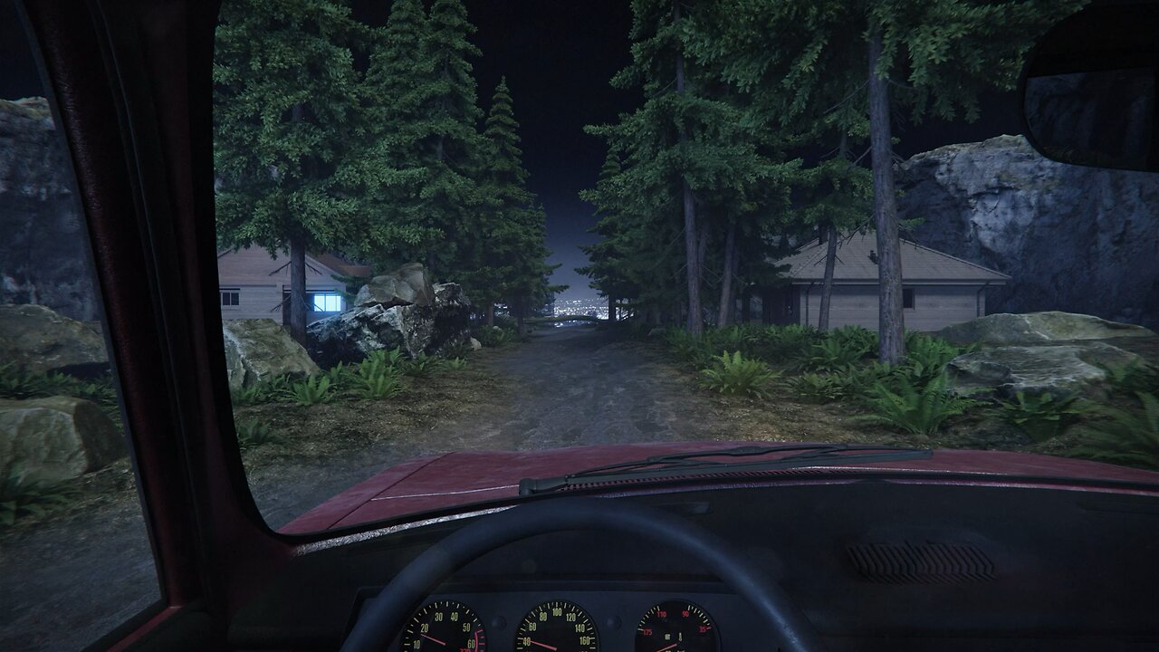 Night forest