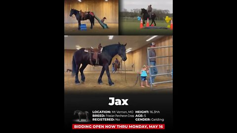 ENDED 🌺 the MAY CLASSIC 🌺 **ending MAY 16th on www.horsebid.com**
