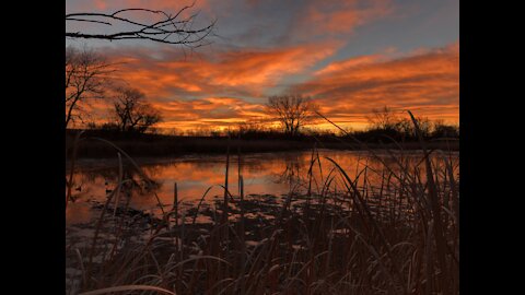 Merino Morning Duck Hunt