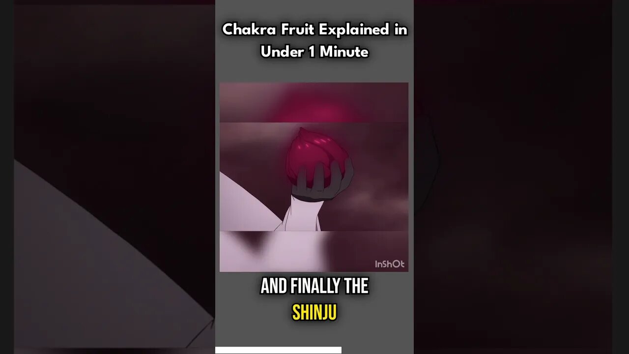 Chakra Fruit Explained in Under 1 Minute