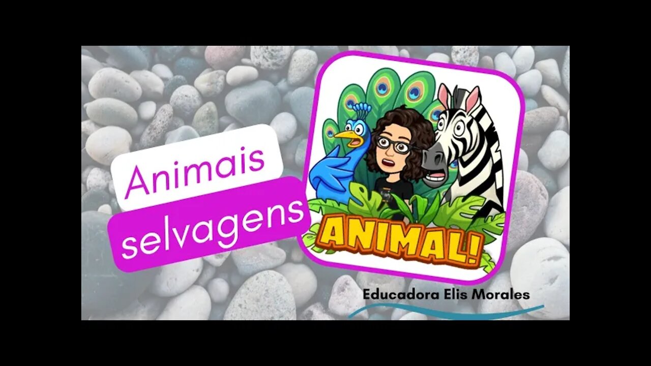 ANIMAIS SELVAGENS - aves - Educação Infantil