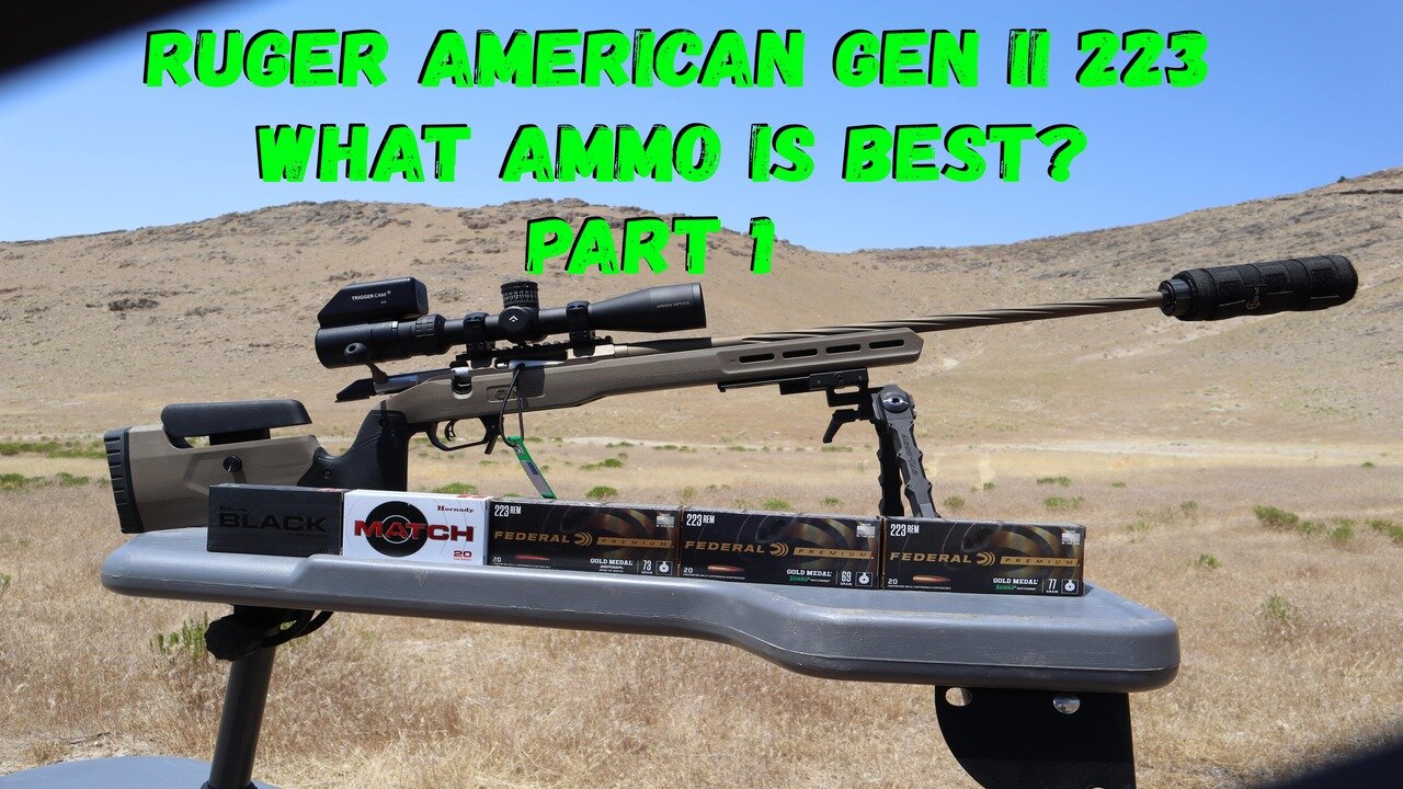 Ruger American Gen II Predator 223 Rem Ammo Test Part 1