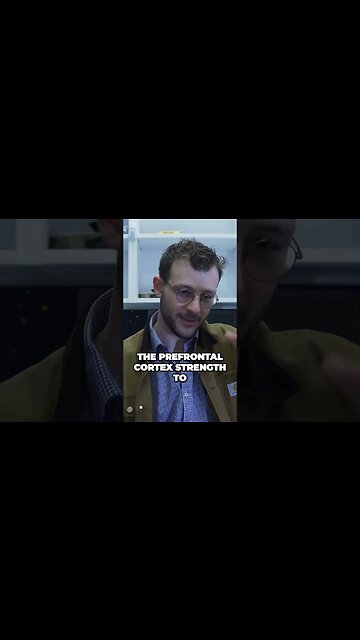 The Surprising Side Effects of Antipsychotics Sedation and Weight Gain