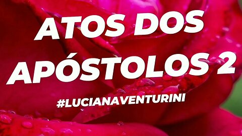 Atos dos apóstolos 2 #lucianaventurini #desenvolvimentopessoal #vivermelhor #atosdosapostolos