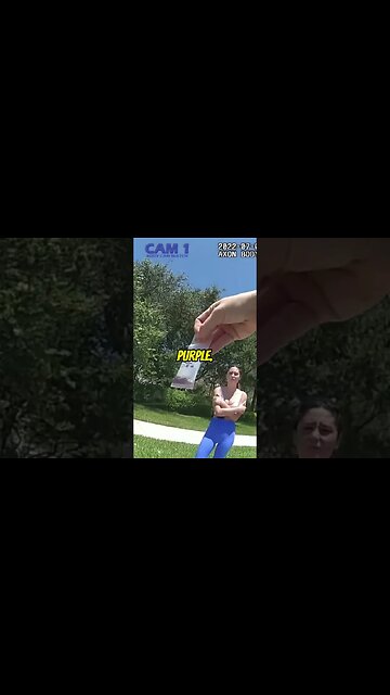 Funky Felonies Groovin' Through Fraudulent Licenses, Marijuana, and a Bait Gun Bust